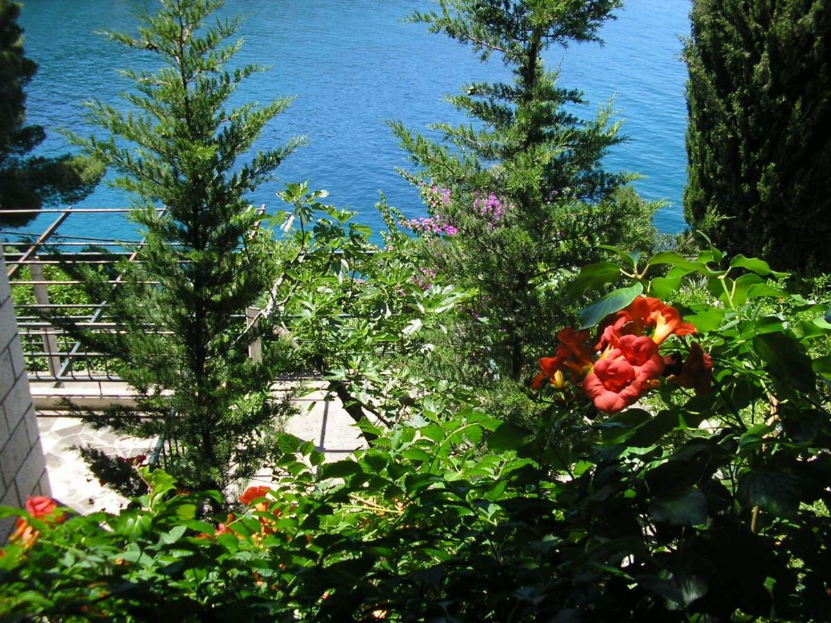 Apartments Mercep Dubrovnik Buitenkant foto